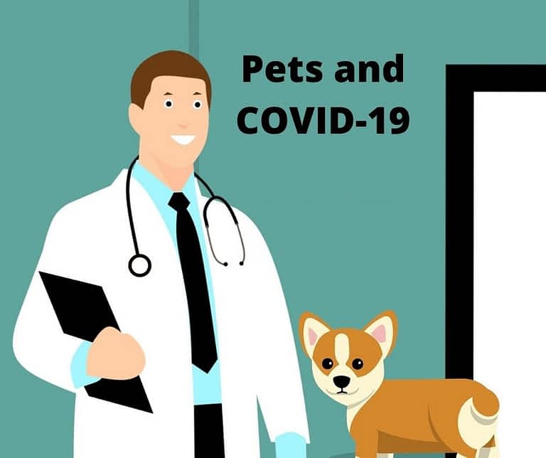 Pets-and-COVID