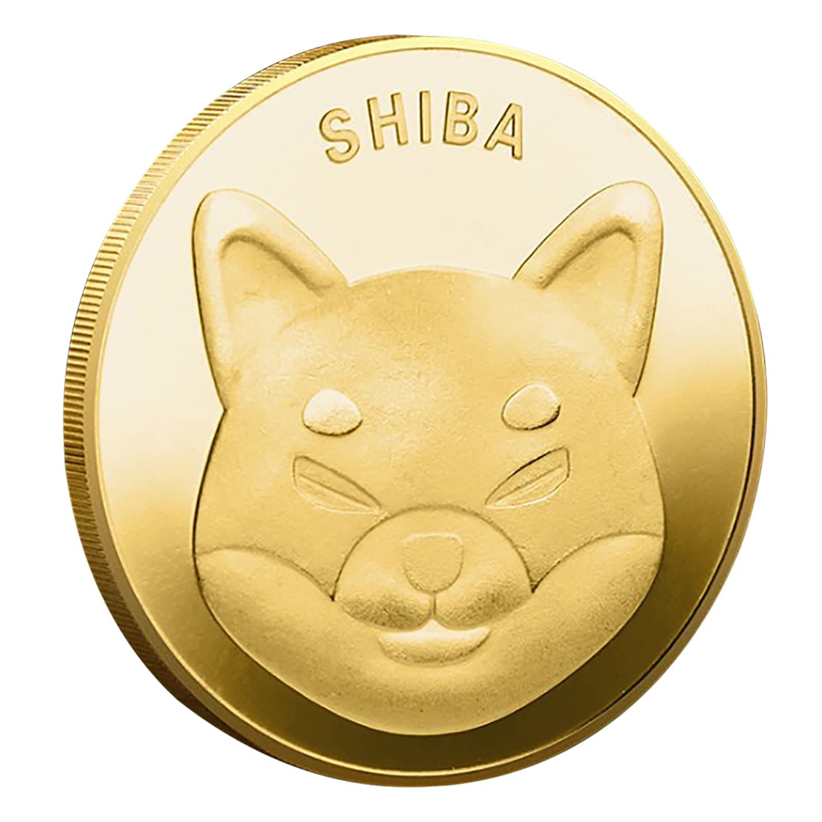 Dogecoin Killer Shiba Inu Coin (SHIB) CRYPTO Souvenir ...